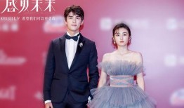 吴磊红毯爆料视频大全集,星光熠熠，揭秘明星幕后故事